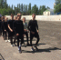 Победили в областных соревнованиях по пожарно-прикладному спорту - Информационно-краеведческий портал