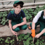 agroklass_1 - Отдел образования